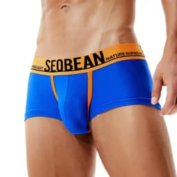 SEOBEAN Mesh Breathable Men's Boxers Sexy Underwear Boxer Shorts Men Underpants Boxershorts Male Panties Boxer for Man