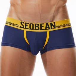 SEOBEAN Mesh Breathable Men's Boxers Sexy Underwear Boxer Shorts Men Underpants Boxershorts Male Panties Boxer for Man