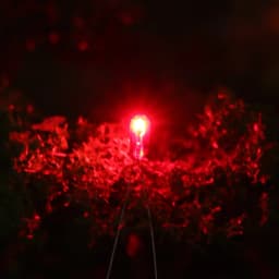 Evemodel 100pcs 2.5mm 3mm 4mm 5mm Clear Mini Bulbs Grain of Wheat Bulbs Incandescent Filament Lights 1.5V 3V 6V 12V