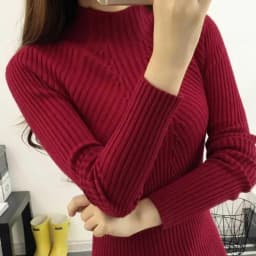 2026 Autumn Winter Turtleneck Sweater Women Basic Slim Pullover Women Sweaters And Pullovers Knit Jumper Ladies Tops