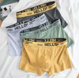 4Pcs Boxer Men's Underwear XS-XXL Men Panties Sexy Man Breathable Boxer Shorts Male Comfortable Underpants