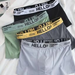 4Pcs Boxer Men's Underwear XS-XXL Men Panties Sexy Man Breathable Boxer Shorts Male Comfortable Underpants