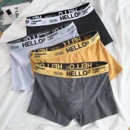4Pcs Boxer Men's Underwear XS-XXL Men Panties Sexy Man Breathable Boxer Shorts Male Comfortable Underpants