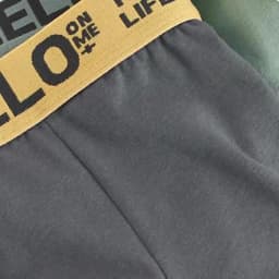 4Pcs Boxer Men's Underwear XS-XXL Men Panties Sexy Man Breathable Boxer Shorts Male Comfortable Underpants
