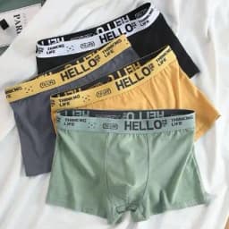 4Pcs Boxer Men's Underwear XS-XXL Men Panties Sexy Man Breathable Boxer Shorts Male Comfortable Underpants