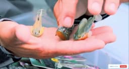 Hunthouse Fishing Lure Soft Bait Jig Soft Lure 7/10/14/21/28g Swimbait Wobblers Pike Bass Shad For Fishing Perch Saltwater Fish
