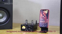 AIYIMA Audio T9 HiFi Bluetooth 5.0 Vacuum Tube Amplifier USB DAC Stereo Amplificador COAX OPT VU Meter Amplifier Speaker Amplify