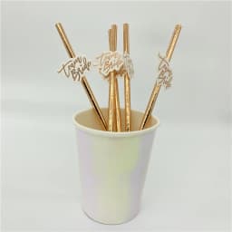 10Pcs Rose Gold Team Bride Straws Hen Party Bachelorette Wedding Party Decoration Supplies