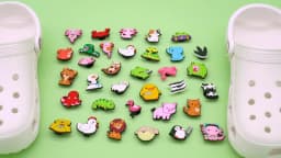 1pcs Cute Animals Dogs Cats Frogs Dinosaur Duck Shoe Charms for Women Girls,Shoe Accessories Pins for Kids Children,Clog Buckles