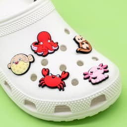 1pcs Cute Animals Dogs Cats Frogs Dinosaur Duck Shoe Charms for Women Girls,Shoe Accessories Pins for Kids Children,Clog Buckles