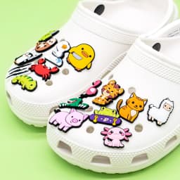 1pcs Cute Animals Dogs Cats Frogs Dinosaur Duck Shoe Charms for Women Girls,Shoe Accessories Pins for Kids Children,Clog Buckles