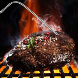 2025 New Temperature Probe Stainless Steel Material Probe Replacement Meat Probe Kitchen Accessories for Kitchen Oven Microwave