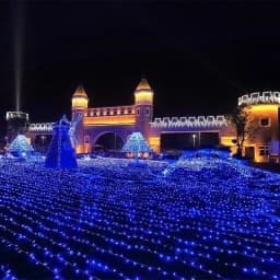 110V 220V 10M 100 Led String Garland Christmas Tree Chain Fairy Light Waterproof Home Garden Party Outdoor Holiday Decoration