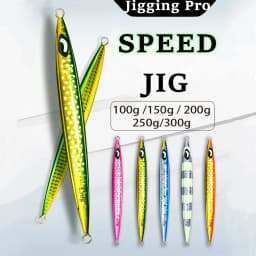 JIGGING PRO 100g 150g 200g 250g 300g Saltwater Metal Jigs Deep Sea Fishing Lure Vertical Speed Jigs