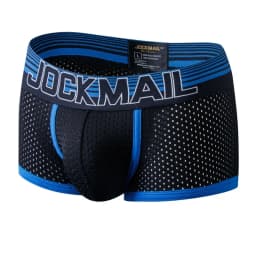 Sexy Men Underwear Boxer Shorts New Trunks Mens Boxershorts Underware Boxers Funny Low Waist Nylon Mesh Breathable Quick Drying