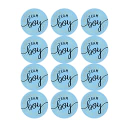 60/120pcs Team Boy Team Girl Stickers Boy or Girl Sticker for Gender Reveal Party Decoration Baby Shower Supplies Gift Box Label