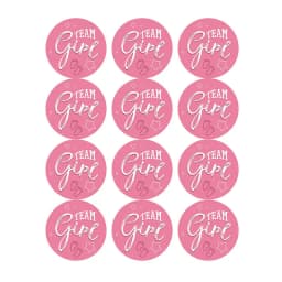 60/120pcs Team Boy Team Girl Stickers Boy or Girl Sticker for Gender Reveal Party Decoration Baby Shower Supplies Gift Box Label
