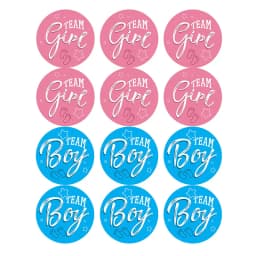 60/120pcs Team Boy Team Girl Stickers Boy or Girl Sticker for Gender Reveal Party Decoration Baby Shower Supplies Gift Box Label