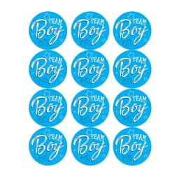 60/120pcs Team Boy Team Girl Stickers Boy or Girl Sticker for Gender Reveal Party Decoration Baby Shower Supplies Gift Box Label