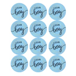 60/120pcs Team Boy Team Girl Stickers Boy or Girl Sticker for Gender Reveal Party Decoration Baby Shower Supplies Gift Box Label