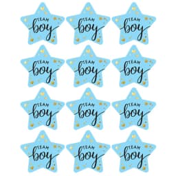 60/120pcs Team Boy Team Girl Stickers Boy or Girl Sticker for Gender Reveal Party Decoration Baby Shower Supplies Gift Box Label
