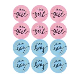 60/120pcs Team Boy Team Girl Stickers Boy or Girl Sticker for Gender Reveal Party Decoration Baby Shower Supplies Gift Box Label