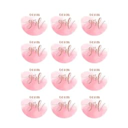 60/120pcs Team Boy Team Girl Stickers Boy or Girl Sticker for Gender Reveal Party Decoration Baby Shower Supplies Gift Box Label