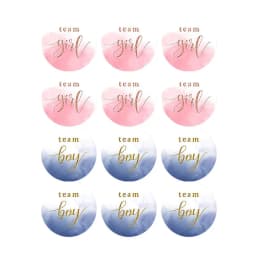 60/120pcs Team Boy Team Girl Stickers Boy or Girl Sticker for Gender Reveal Party Decoration Baby Shower Supplies Gift Box Label