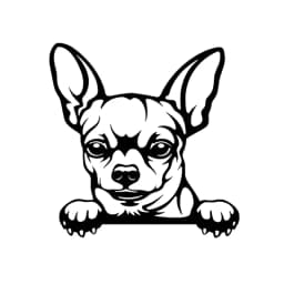 Cars Accessorie Decals Funny Dog With Name Car Decal Dogs Pet Animals Laptop Vinyl Sticker For Apple MacBook Pro/Air Decoration
