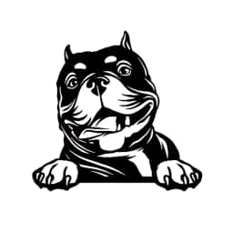 Cars Accessorie Decals Funny Dog With Name Car Decal Dogs Pet Animals Laptop Vinyl Sticker For Apple MacBook Pro/Air Decoration