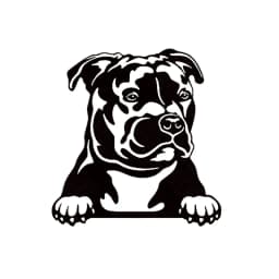 Cars Accessorie Decals Funny Dog With Name Car Decal Dogs Pet Animals Laptop Vinyl Sticker For Apple MacBook Pro/Air Decoration