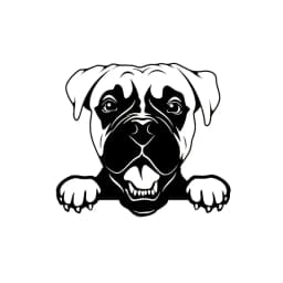 Cars Accessorie Decals Funny Dog With Name Car Decal Dogs Pet Animals Laptop Vinyl Sticker For Apple MacBook Pro/Air Decoration