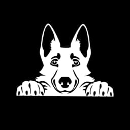 Cars Accessorie Decals Funny Dog With Name Car Decal Dogs Pet Animals Laptop Vinyl Sticker For Apple MacBook Pro/Air Decoration