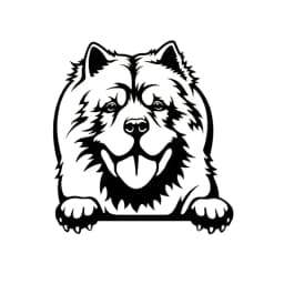 Cars Accessorie Decals Funny Dog With Name Car Decal Dogs Pet Animals Laptop Vinyl Sticker For Apple MacBook Pro/Air Decoration