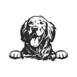 Cars Accessorie Decals Funny Dog With Name Car Decal Dogs Pet Animals Laptop Vinyl Sticker For Apple MacBook Pro/Air Decoration