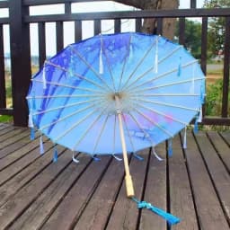 Chinese Dance Performance Lace Umbrella Classical Hanfu Oil Paper Umbrella Fairy Ancient Parasol Paraguas Inverso El Principito