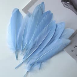 50pcs Natural Goose Feathers Plumes 15-20cm White Feather Plume for Home Decoration Craft DIY Party Jewelry Decoration