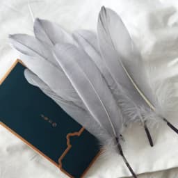 50pcs Natural Goose Feathers Plumes 15-20cm White Feather Plume for Home Decoration Craft DIY Party Jewelry Decoration