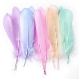50pcs Natural Goose Feathers Plumes 15-20cm White Feather Plume for Home Decoration Craft DIY Party Jewelry Decoration