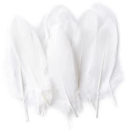 50pcs Natural Goose Feathers Plumes 15-20cm White Feather Plume for Home Decoration Craft DIY Party Jewelry Decoration