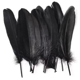 50pcs Natural Goose Feathers Plumes 15-20cm White Feather Plume for Home Decoration Craft DIY Party Jewelry Decoration