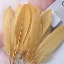 50pcs Natural Goose Feathers Plumes 15-20cm White Feather Plume for Home Decoration Craft DIY Party Jewelry Decoration