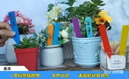 100pcs Garden Plant Labels PVC Plant Tags Nursery Markers Flower Pots Seedling Labels Tray Mark Tools Pot Waterproof Mix Colors