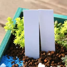 100pcs Garden Plant Labels PVC Plant Tags Nursery Markers Flower Pots Seedling Labels Tray Mark Tools Pot Waterproof Mix Colors