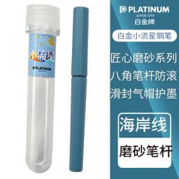 Japan Platinum upgraded frosted small meteor fountain pen octagonal slip seal gas cap a water stationery
