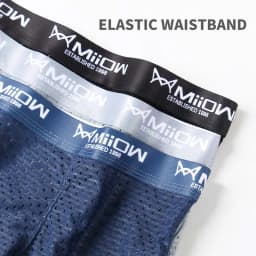 MiiOW Sexy Mesh Men Boxers Underwear Breathable Ice Silk Men's Panties Lingerie Underpants Boxershorts Plus Size L-4XL Trunks