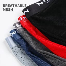 MiiOW Sexy Mesh Men Boxers Underwear Breathable Ice Silk Men's Panties Lingerie Underpants Boxershorts Plus Size L-4XL Trunks