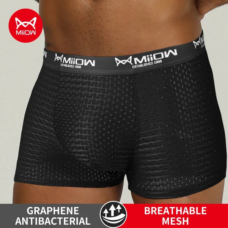 MiiOW Sexy Mesh Men Boxers Underwear Breathable Ice Silk Men's Panties Lingerie Underpants Boxershorts Plus Size L-4XL Trunks