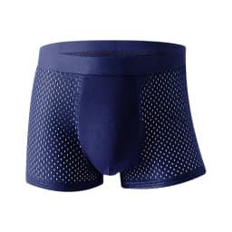 8pcs/set Men's Panties Ice Silk Mesh Men Underwear Breathable Men's Underpant Fashion Panties Male Solid Color Boxer Shorts