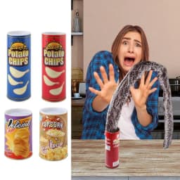 Funny Prank Toys Joke Items for Adults Potato Chip Can Jump Spring Snake Toy April Fool Day Halloween Party Decoration Trick